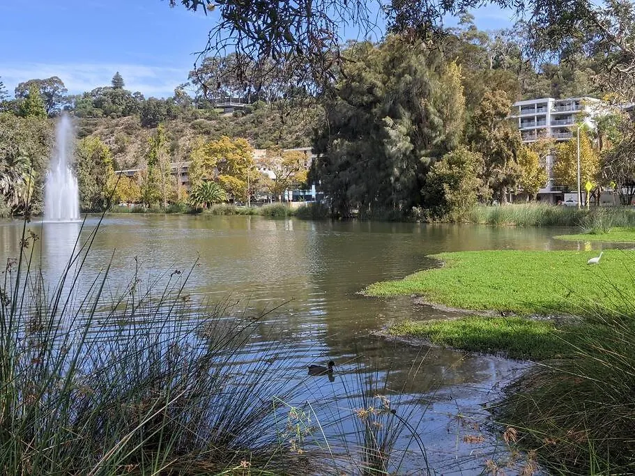 City & Lakeside With Free Parking, Pool And 10 Mins Walk Into The City Perth 0*,  Australia